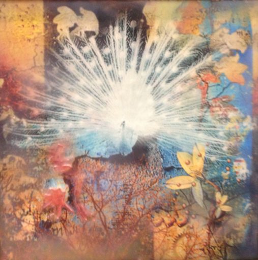 Abstract-Peacock